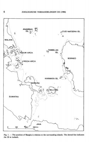 IMG-20261022-WA0022