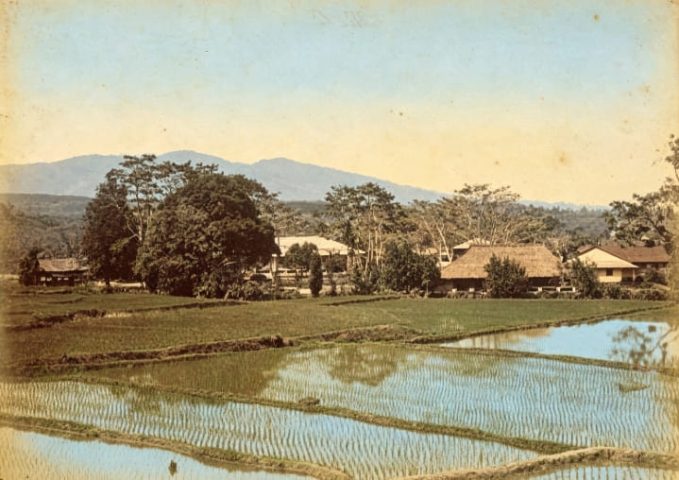 Catatan Perjalanan J.E. Teijsmann, Ahli Botani Berkebangsaan Belanda, Di Pulau Bangka (Bagian 7)
